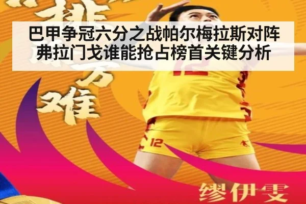 巴甲争冠六分之战帕尔梅拉斯对阵弗拉门戈谁能抢占榜首关键分析