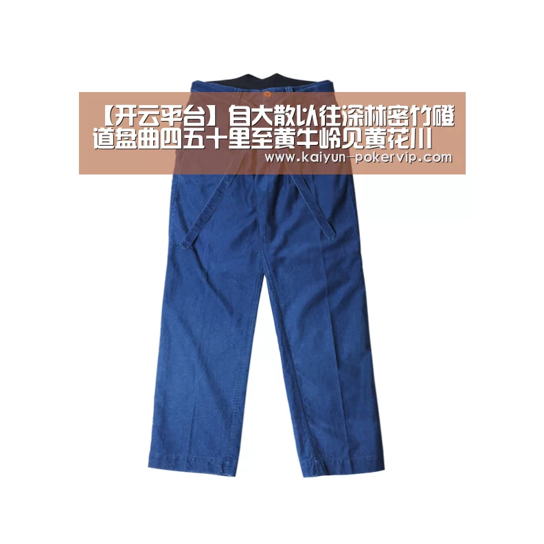 开云入口